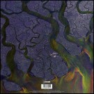 (LP) ALT-J - AN AWESOME WAVE thumbnail