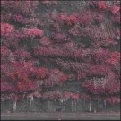 (CD) SLEEP TOKEN - EVEN IN ARCADIA thumbnail