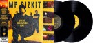 (LP) LIMP BIZKIT - ROCK IM PARK 2001 (LTD. EDITION) thumbnail