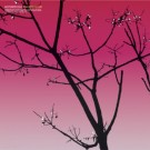 (LP) MOTORPSYCHO - PHANEROTHYME thumbnail