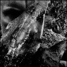 (LP RELEASE 24/7, 2026) TAAKE - EN SKOG AV NIDSTANG (LTD. EDITION) thumbnail