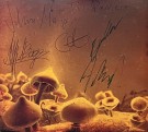 (CD-signert) MAJOR PARKINSON - MAJOR PARKINSON thumbnail