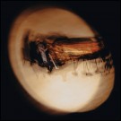 (LP RELEASE 09/10, 2026) CAMERON WINTER - LIVE AT CARNEGIE HALL (LTD. EDITION) thumbnail