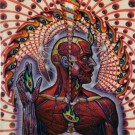 (CD) TOOL - LATERALUS thumbnail