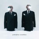 (LP) PET SHOP BOYS - NONETHELESS thumbnail