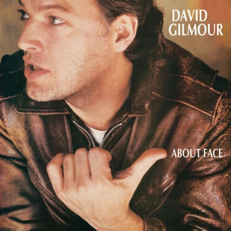 (CD) DAVID GILMOUR - ABOUT FACE