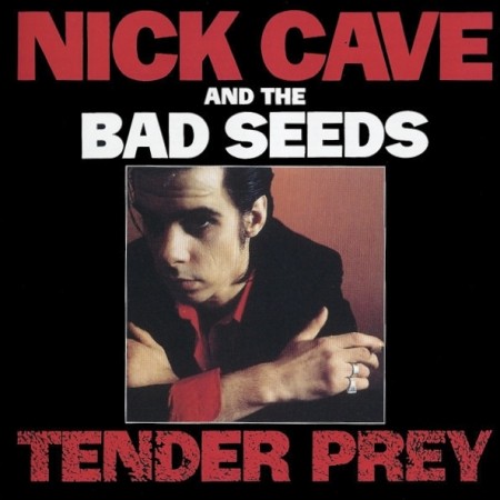 (CD) NICK CAVE AND THE BAD SEEDS - TENDER PREY
