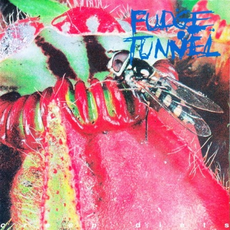 (CD) FUDGE TUNNEL - CREEP DIETS