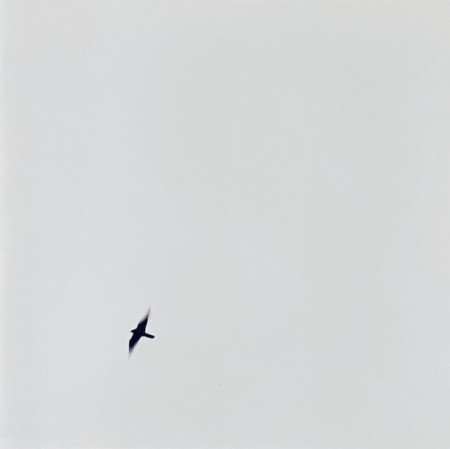 (CD/DVD) WILCO - SKY BLUE SKY (DELUXE EDITION)