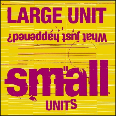 (CD RELEASE 1/5, 2026) LARGE UNIT - SMALL UNITS: WHAT JUST HAPPENED?