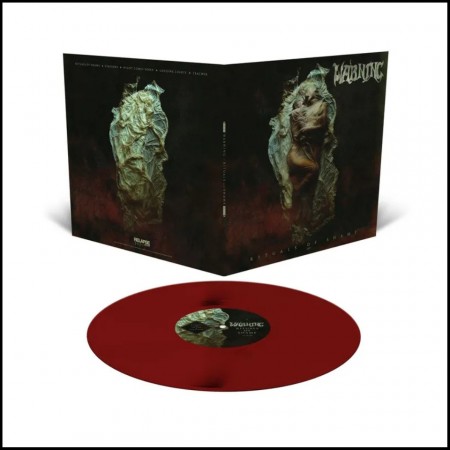 (LP RELEASE 19/6, 2026) WARNING - RITUALS OF SHAME