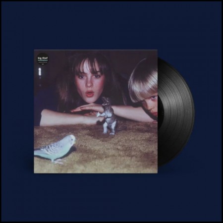 (LP) BIG THIEF - MASTERPICE