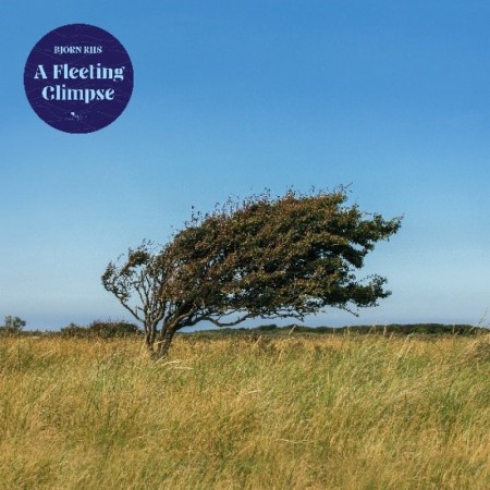 (LP) BJØRN RIIS - A FLEETING GLIMPSE (LTD. EDITION)