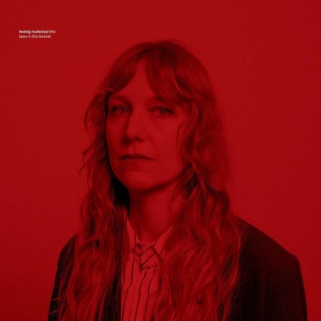 (LP Release 9/5-25) HEDVIG MOLLESTAD TRIO - BEES IN THE BONNET