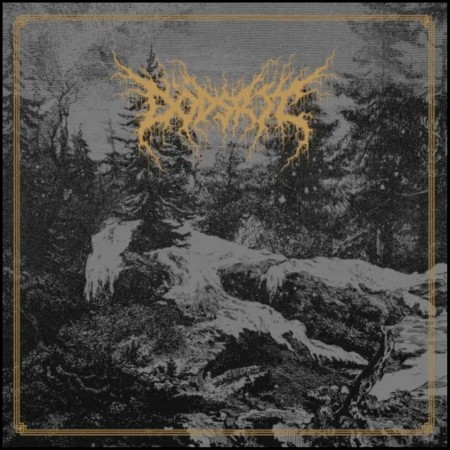 (LP) DODSRIT - MORTAL COIL