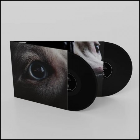 (LP) ROGER WATERS - DARK SIDE OF THE MOON REDUX